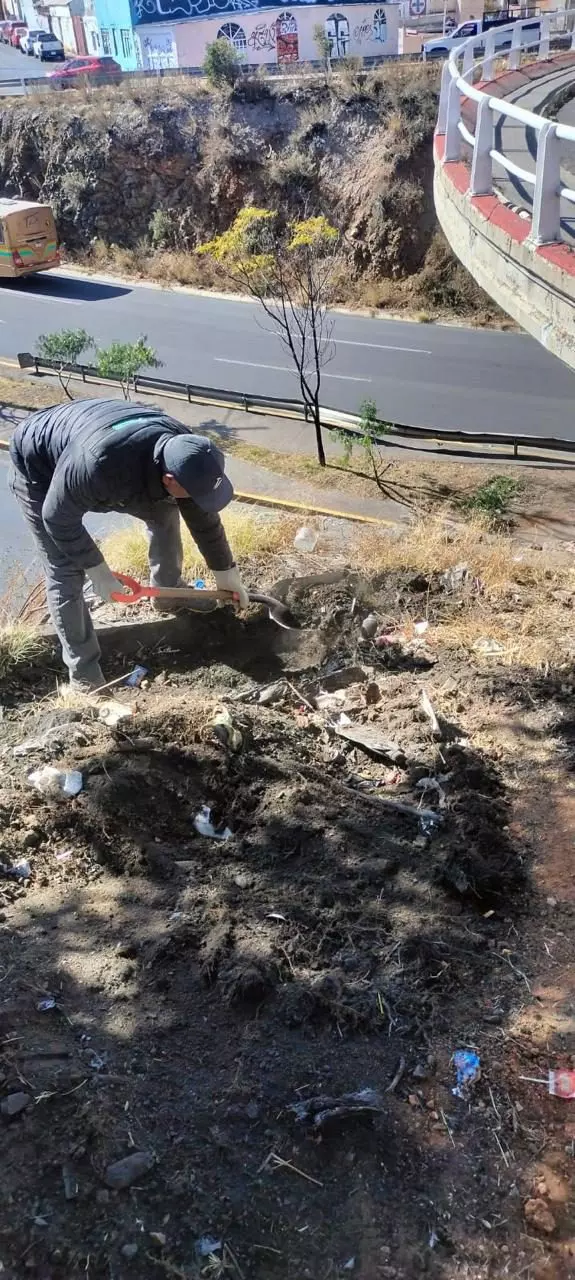 Arranca ayuntamiento de la capital 2025 con acciones de limpieza en la ...